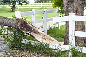 Look for storm damage