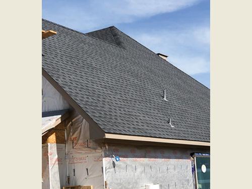 Shingle Roof